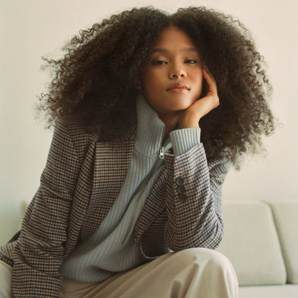 Everlane The ReWool® ’80s Blazer Blue and Brown Houndstooth 10 New Womens - Picture 12 of 16